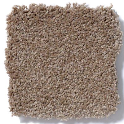 Shaw Floors SFA Born Better (s) Light Herb 0C018_00321