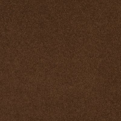 Shaw Floors SFA Born Better (s) Espresso 00707_0C018