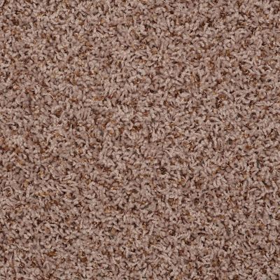 Shaw Floors SFA Sophisticated Space Summer Taupe 34720_0C107
