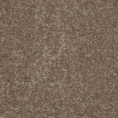 Shaw Floors SFA Take Part 15′ Chalet 00700_0C137