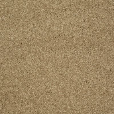 Shaw Floors SFA Sing With Me I Camel 00201_0C194