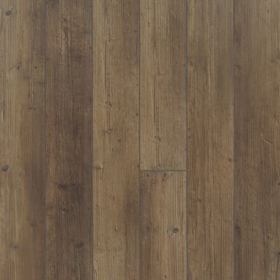 Resilient Residential Paragon 5″ Plus Shaw Floors  Tactile Pine 07038_1019V