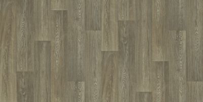 Shaw Floors Resilient Residential Cottage Chic Barnes 00254_1048V