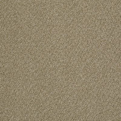 Anderson Tuftex Master Title Suede 00714_12DDF