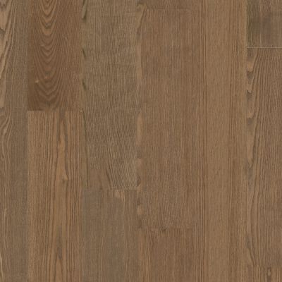 Anderson Tuftex Anderson Hardwood European Ash Biscotti 17061_AA845