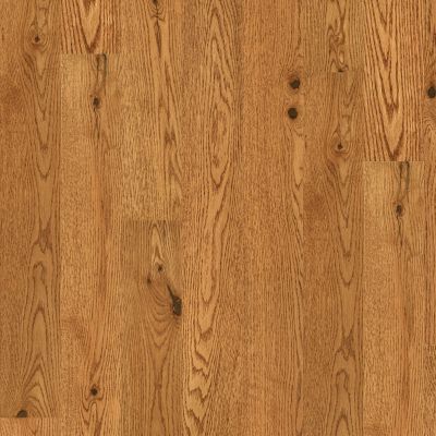 Shaw Floors Carpets Plus Hardwood Destination Timeless Classic 5″ Honey 02080_CH926