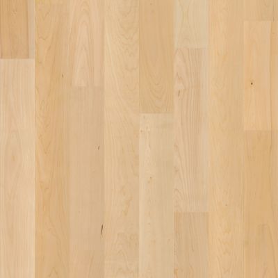 Shaw Floors Shaw Hardwoods Natural Classics Hard Maple 5″ Natural Hard Maple 01148_SW781