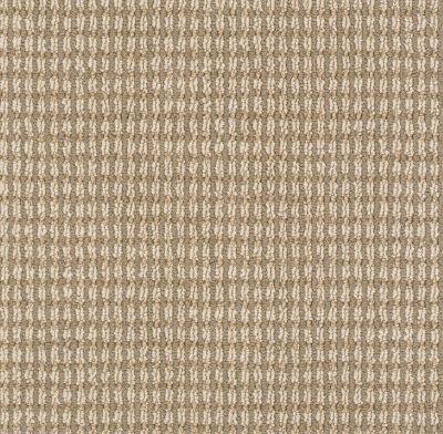 Anderson Tuftex Pet Perfect Let’s Bark Bamboo 00236_13SSF