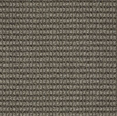 Anderson Tuftex Pet Perfect Let’s Bark Stylish Gray 00573_13SSF