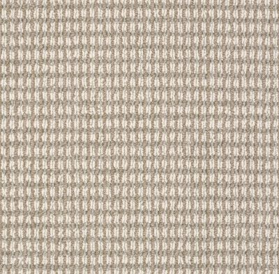 Anderson Tuftex Pet Perfect Let’s Bark Chic Taupe 00752_13SSF