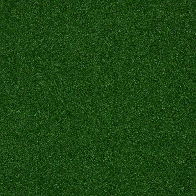 Shaw Grass Spring Choice I Lawn Green 00300_150SG
