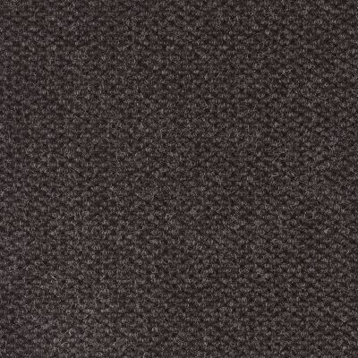 Shaw Floors Crosspoint Passages II Tile Charcoal NB005_153CR