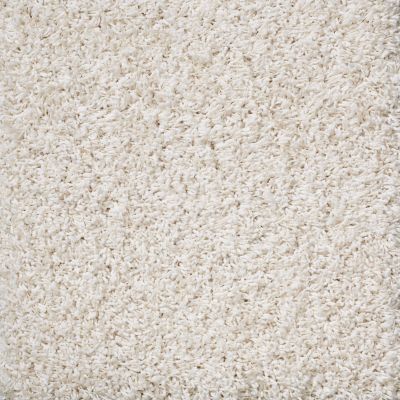 Anderson Tuftex Shaw Design Center Exhilaration Fairy Dust 00120_169SD