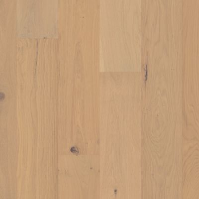 Shaw Floors Shaw Hardwoods Ensemble Champagne 01045_SW768