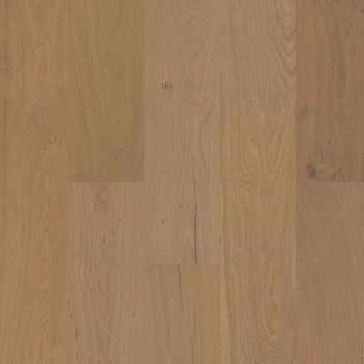 Shaw Floors Shaw Hardwoods Ensemble Crema 02034_SW768