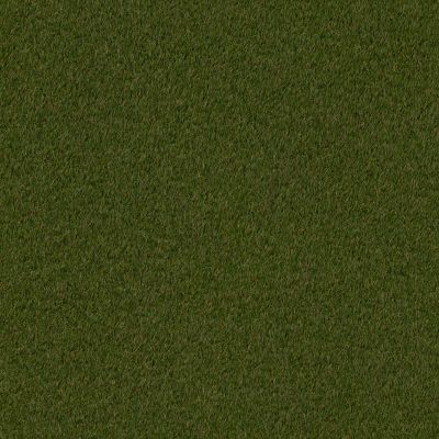 Shaw Grass Summer Rye Natural Green 00300_183SG