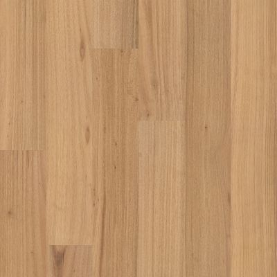 Shaw Floors Shaw Hardwoods Bridgewater Eucalyptus Sundrift 01177_SW790