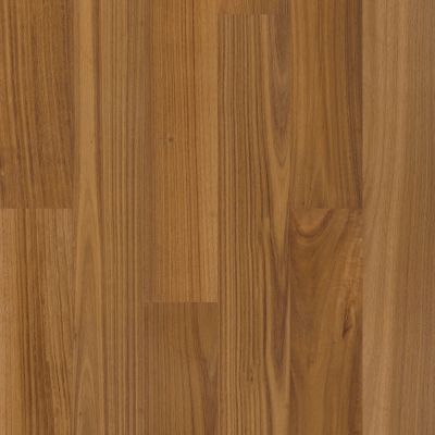 Shaw Floors Shaw Hardwoods Bridgewater Eucalyptus Riverbend 07142_SW790