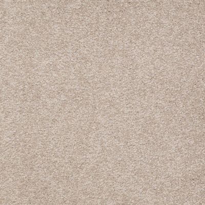 Shaw Floors Couture’ Collection Ultimate Expression 12′ Soft Shadow 00105_19698