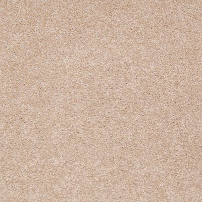 Shaw Floors Couture’ Collection Ultimate Expression 12′ Stucco 00110_19698
