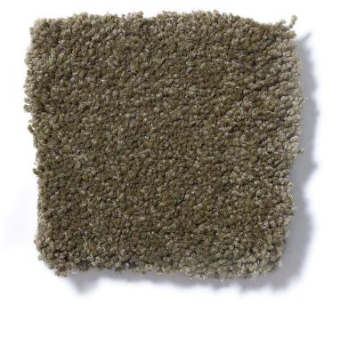 Shaw Floors Couture’ Collection Ultimate Expression 12′ Green Tea 19698_00302