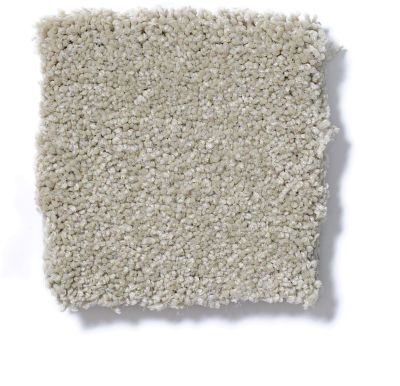 Shaw Floors Couture’ Collection Ultimate Expression 12′ Country Haze 19698_00307
