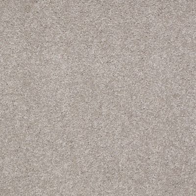 Shaw Floors Couture’ Collection Ultimate Expression 12′ London Fog 00501_19698