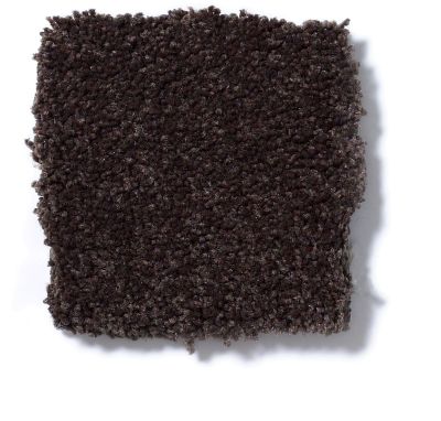 Shaw Floors Couture’ Collection Ultimate Expression 12′ Tundra 19698_00708