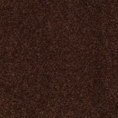 Shaw Floors Couture’ Collection Ultimate Expression 12′ Coffee Bean 00711_19698