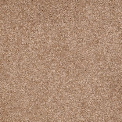 Shaw Floors Apd/Sdc Fabulux 12′ Muffin 00700_19703