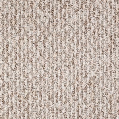 Shaw Floors Durango 12′ Weathered Wood 00710_19815