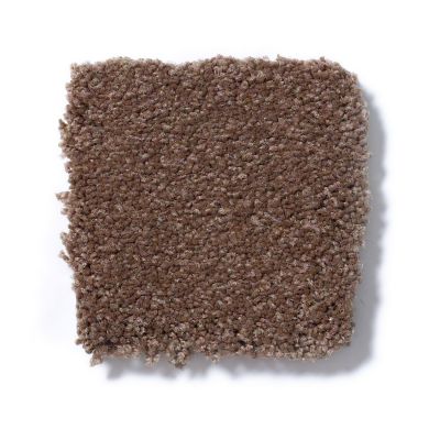 Shaw Floors Couture’ Collection Ultimate Expression 15′ Tuscany 19829_00204