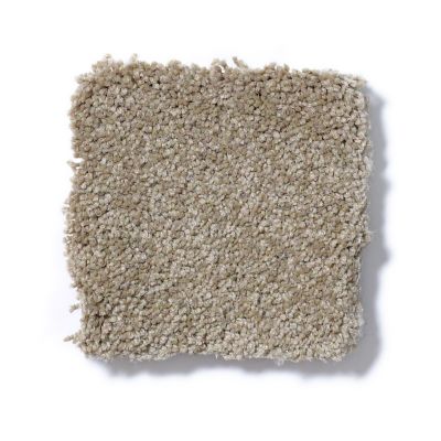 Shaw Floors Couture’ Collection Ultimate Expression 15′ Sahara 19829_00205