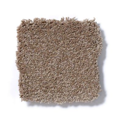 Shaw Floors Couture’ Collection Ultimate Expression 15′ Mojave 19829_00301