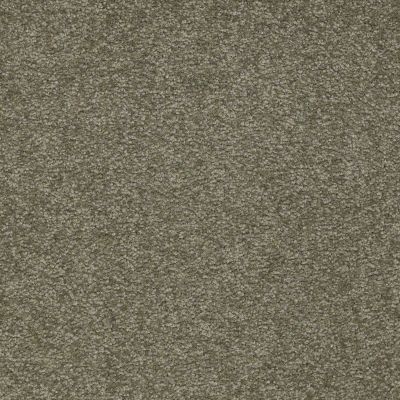 Shaw Floors Couture’ Collection Ultimate Expression 15′ Alpine Fern 00305_19829