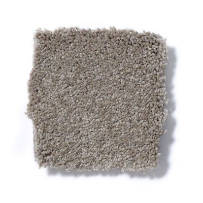 Shaw Floors Couture’ Collection Ultimate Expression 15′ Chinchilla 19829_00306