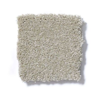 Shaw Floors Couture’ Collection Ultimate Expression 15′ Country Haze 19829_00307