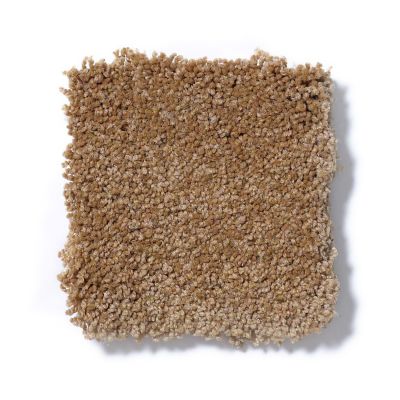 Shaw Floors Couture’ Collection Ultimate Expression 15′ Peanut Brittle 19829_00702
