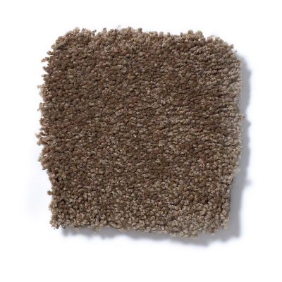 Shaw Floors Couture’ Collection Ultimate Expression 15′ Pine Cone 19829_00703