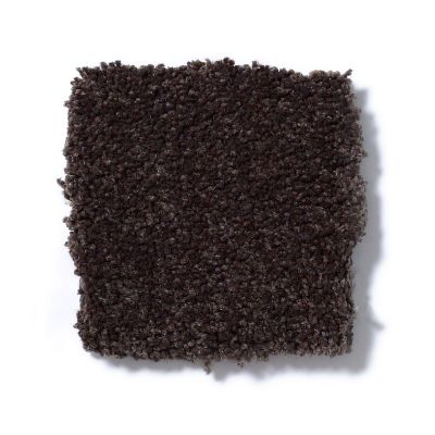 Shaw Floors Couture’ Collection Ultimate Expression 15′ Tundra 19829_00708