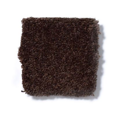 Shaw Floors Couture’ Collection Ultimate Expression 15′ Coffee Bean 19829_00711