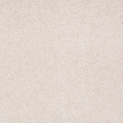Shaw Floors Anso Premier Dealer Dividing Line 15′ Pudding 00102_19830