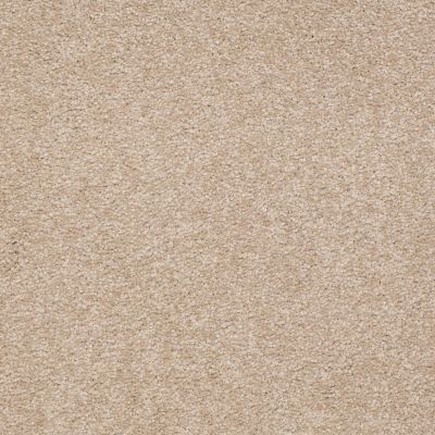 Shaw Floors Anso Premier Dealer Dividing Line 15′ Adobe 00108_19830