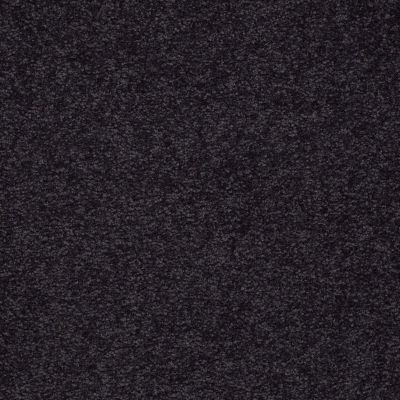 Shaw Floors Anso Premier Dealer Dividing Line 15′ Graphite 00503_19830
