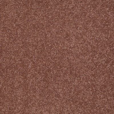 Shaw Floors Anso Premier Dealer Dividing Line 15′ English Toffee 00706_19830