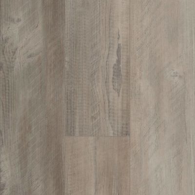 Shaw Floors Resilient Residential Heroic HD Plus Salvaged Pine 00554_1CV03