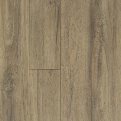 Resilient Residential Pantheon HD Plus Shaw Floors  Fiano 00587_2001V