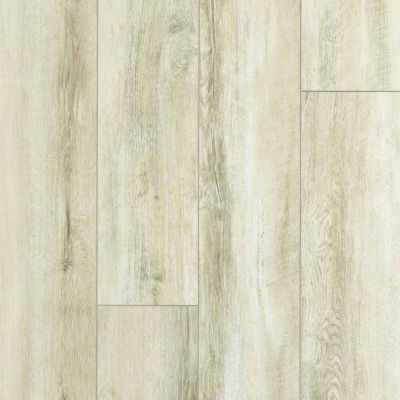 Shaw Floors Resilient Residential Paragon XL HD Plus Driftwood Oak 01029_2033V