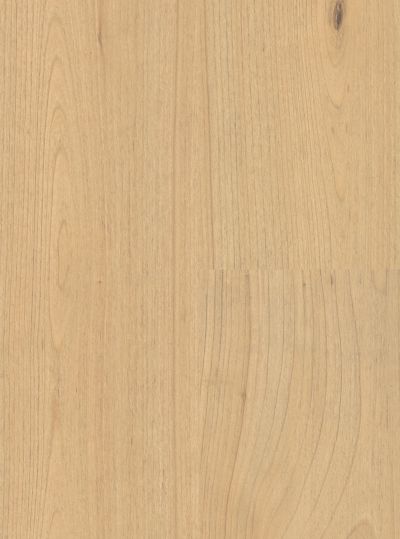 Shaw Floors Resilient Residential Prodigy Hdr Plus Hygge 02025_2038V