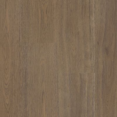 Resilient Residential Prodigy Hdr Plus Shaw Floors  Glogg 07203_2038V